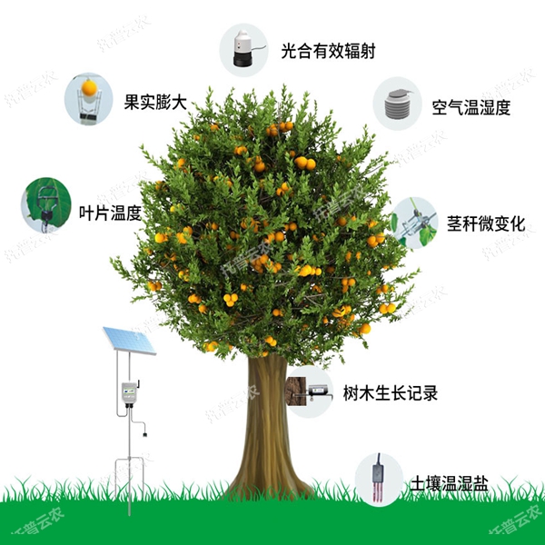 植物生理生態環境監測系統